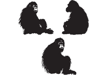 Set of Orangutan Silhouette  Vector  © Umar