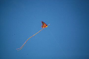 The Flying Butterfly Kite