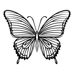 Vector illustration of an intricate black butterfly.