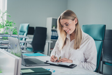 Portrait of successful young pretty lady laptop write notebook wear shirt office business center indoors