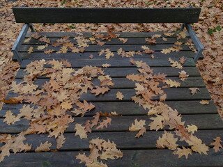 herbstlaub auf tisch