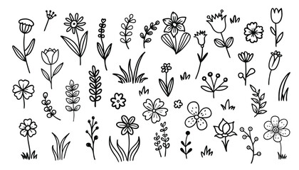 Set of hand drawn doodle floral elements.Flower doodle hand drawn line stroke. Sketch hand drawn spring floral plant, nature graphic leaf. Vector illustration.