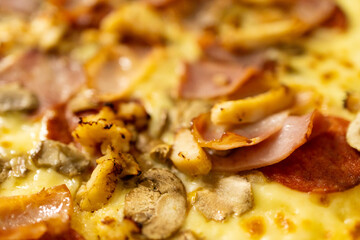 Close-up of pizza with chives, salami, chicken breast, mushrooms and cheese.