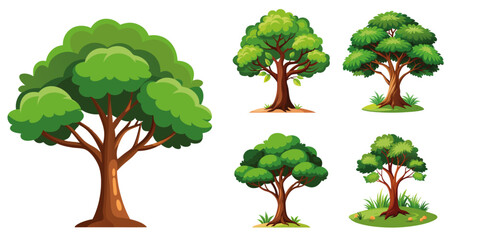 Collection of evergreen forest plants