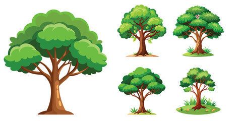 Collection of evergreen forest plants