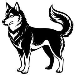 black and white wolf