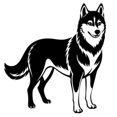 Fototapeta premium black and white dog