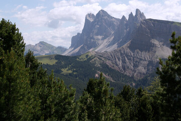 Fototapeta premium Landscape with a mountain range with pine trees in the foreground against a cloudy sky in the Puez Odle-Geisleralm National Park in the Val Gardena region in Dolomites, South Tyrol, Italy