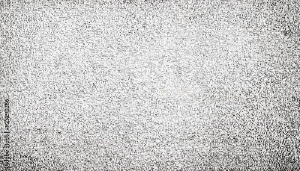 Aufkleber Abstract Texture of Light Grey Woven Stone Wall Surface with Subtle Variations in Tone and Soft Brushstroke Patterns for Background Design Creative Art Projects. Poster Banner Background With Copy 