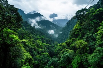 An expansive view of a dense green jungle partially covered by clouds, with a zipline cable subtly visible, showing the remarkable blend of serene nature and human thrill.