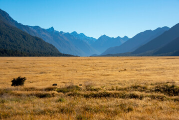 Obraz premium Eglinton Valley - New Zealand