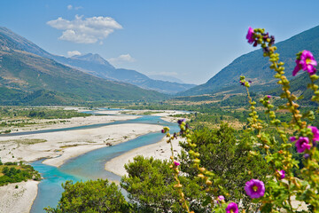 Vjosa river valley viewed from Tepelena