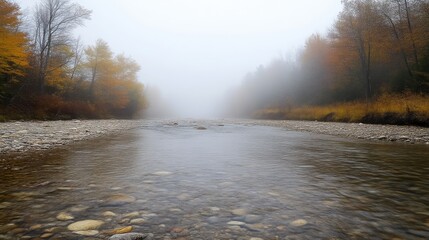 Fog-Covered Riverbank in Early Morning Light