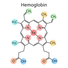 Chemical molecular structure of hemoglobin, highlighting its chemical components organic formula of diagram hand drawn schematic vector illustration. Medical science educational illustration