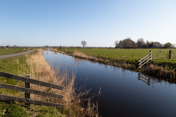 Wide ditch with reeds in the Dutch landscape near the rural village of Bunschoten.