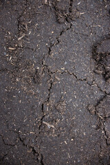 Soil close-up. Soil for planting plants. Copy space. Soil texture