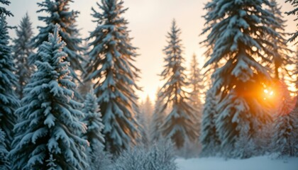 Obraz premium merry christmas background with a serene winter forest, tall pine trees covered in snow, and a soft golden glow from the setting sun, copy space in the foreground, high detail, ai