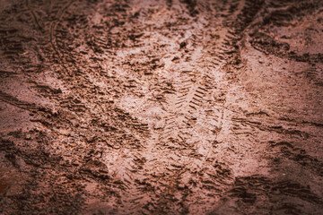 A muddy, dirty ground with a lot of dirt and mud