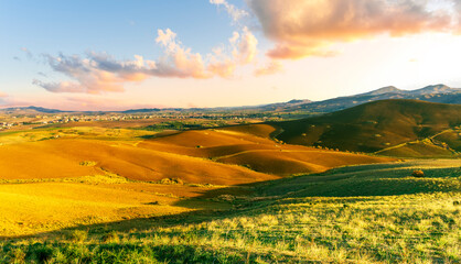 beautiful landscape in a yellow golden field in autumn or summer evening with nice rustic view of hills in countryside