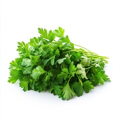 Obraz premium Close up of green leaves of parsley on an isolated white background 