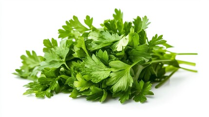 Obraz premium Close up of green leaves of parsley on an isolated white background 