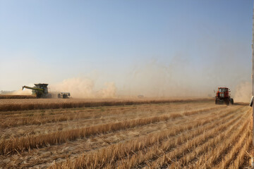 Dust rising from combine during crop harvesting, no-till technology professional occupation