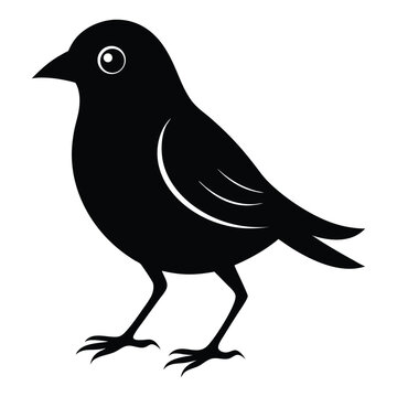 recommend clip art: Illustration of Finch silhouette on white