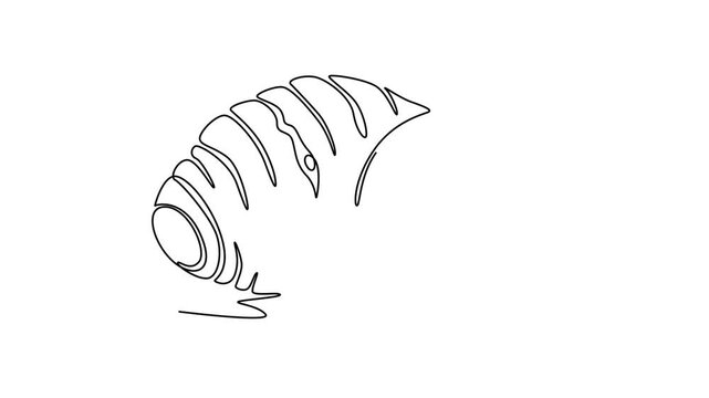 Self drawing animation of single line draw whole healthy organic taro for groceries logo identity. Fresh tropical plant edible corm concept root vegetable icon. Continuous line. Full length animated