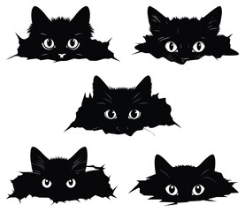 Black Cat Head Illustration