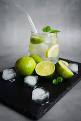 Glass with soda, ice, mint, lemon and lime slices next to cut citrus fruits and ice cubes on a black tray on a gray background