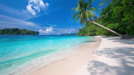 Fototapeta premium A tranquil beach with crystal-clear turquoise waters, white sandy shores, and gently swaying palm trees.