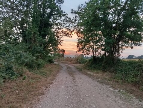 road in the woods