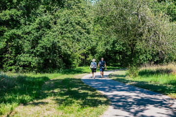 Fototapeta premium Walking or cycling on the cycle paths in the southwest of France