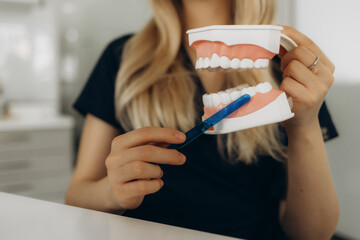 a dentist shows how to brush your teeth on a jaw model