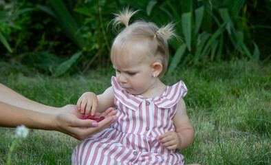 a little girl eats a raspberry. Selective focus