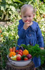 little girl freshly picked vegetables in a bowl. Selective focus