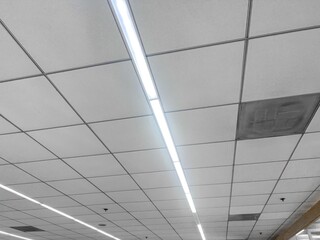 Bright and modern ceiling with LED lights, clean office.