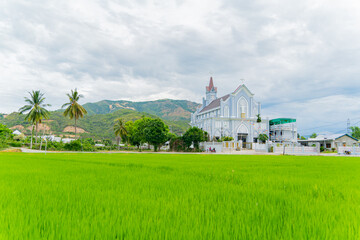 A rice field in front of the Catholic Church. 
The usual view of provincial Vietnam. Not far from Nha Trang city.