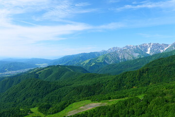 Naklejka premium 初夏の栂池自然園。小谷、長野、日本。6月下旬。