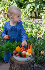 Fototapeta premium little girl freshly picked vegetables in a bowl. Selective focus