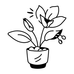 A drawing style icon of canna lily 