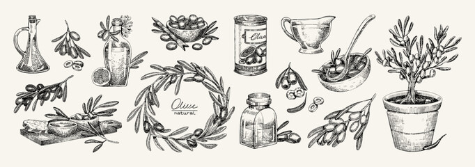 Engraved set of olive branches, trees, bowls. Bottles, jars of organic oil. Natural Italian food. Vintage pencil sketch of fruit tree twigs with leaves. Hand drawn isolated vector illustrations © Paper Trident