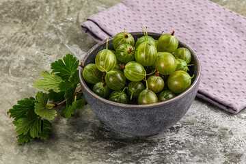 Ripe sweeet and juicy gooseberry