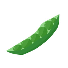 Green pea. Fresh vegetable, food salad ingredient. Healthy eating. Hand drawn vector simple design isolated on white background	