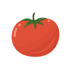Red tomato. Fresh vegetable, food salad ingredient. Healthy eating. Hand drawn vector simple design isolated on white background	