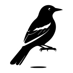 Minimalist Black and White Bird Animal Icon Design on Transparent Background – Perfect for Apps, Websites, UI/UX, Branding, Nature Projects, and Digital Media – High-Quality Vector Art