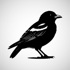 Minimalist Black and White Bird Animal Icon Design on Transparent Background – Perfect for Apps, Websites, UI/UX, Branding, Nature Projects, and Digital Media – High-Quality Vector Art