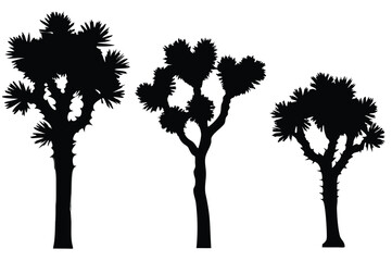 Joshua tree vector illustration 
