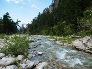 View of a river in the Pyrenees National Park in southwest France