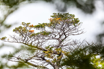 View of Los Glaciares National Park, El Chalten,Patagonia, Argentina.